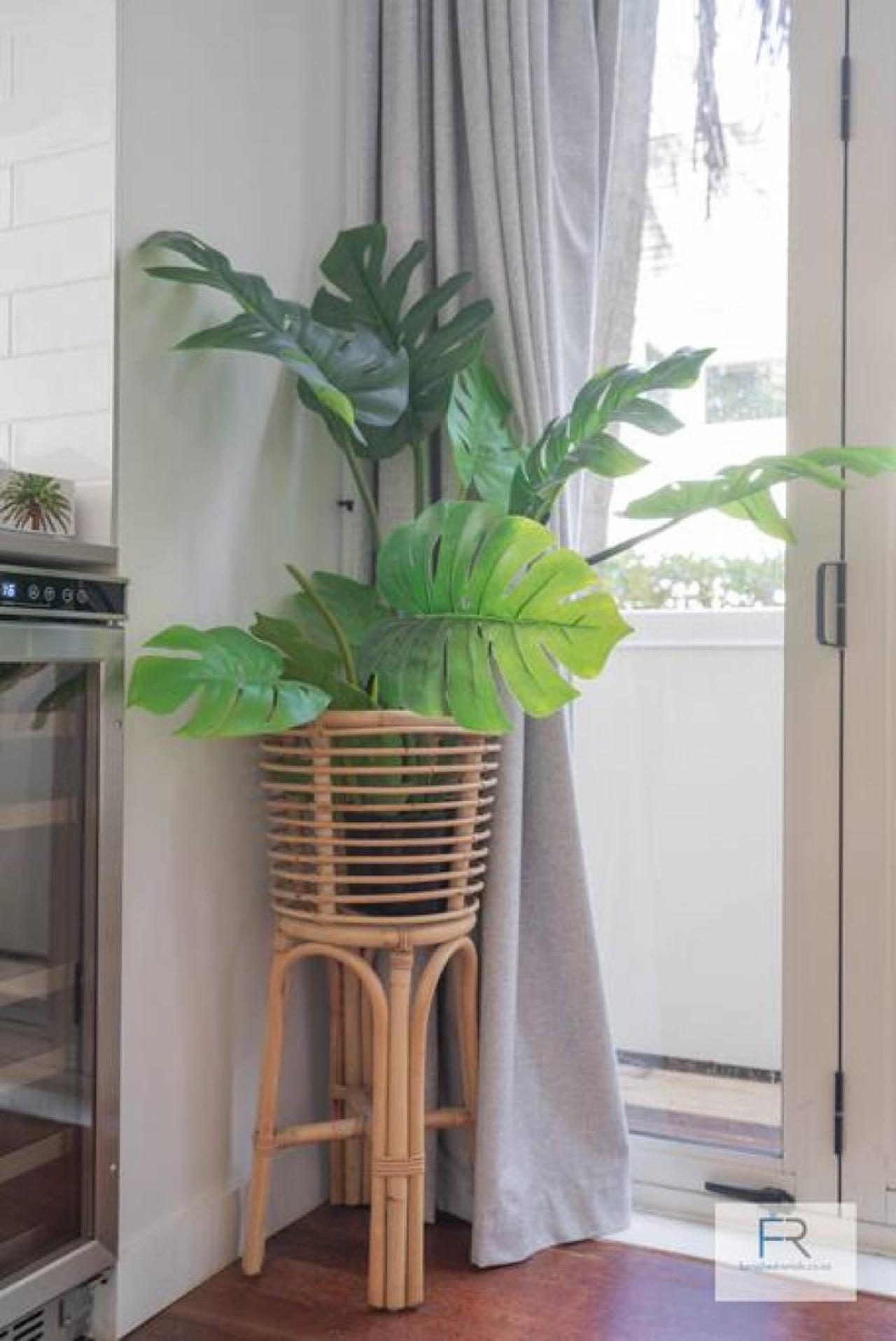 Chic Parnell Townhouse Villa Auckland Ngoại thất bức ảnh